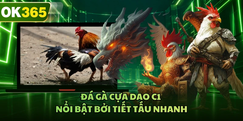 Đá gà cựa dao C1 nổi bật bởi tiết tấu nhanh
