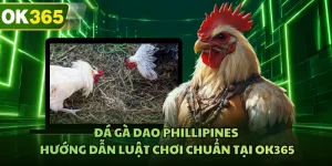 Đá Gà Dao Phillipines - Hướng Dẫn Luật Chơi Chuẩn Tại OK365