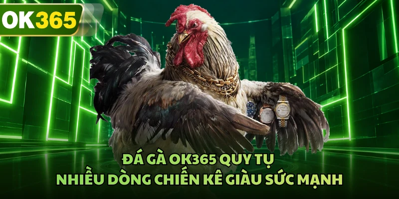 Đá gà OK365 quy tụ nhiều dòng chiến kê giàu sức mạnh