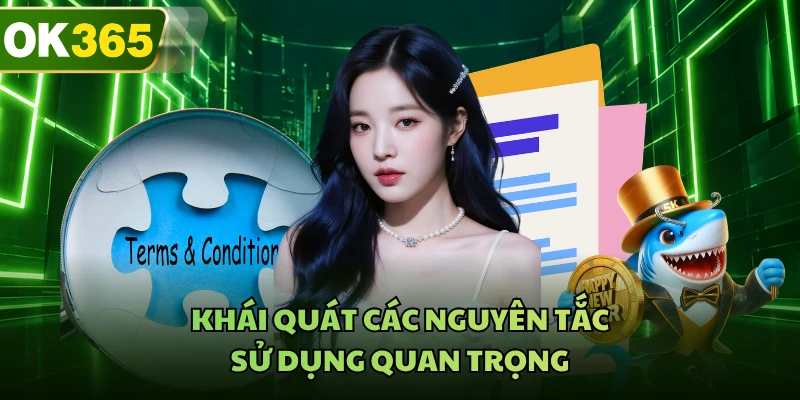 Khái quát các nguyên tắc sử dụng quan trọng