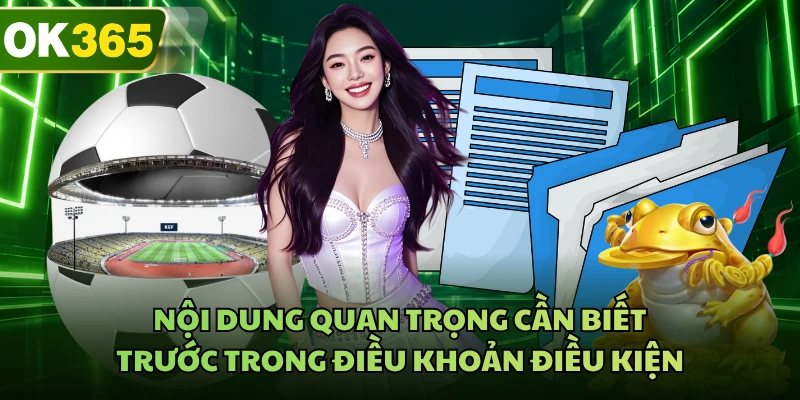 Nội dung quan trọng cần biết trước trong điều khoản điều kiện